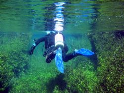 Photo of Dive Buddy going through Ewans Ponds in South Au... by Daryl Gabriel 